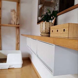 整えれば暮らしがぐんと快適に!カウンター下収納のアイデア集