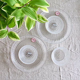 次々に登場する新商品から目が離せない！高クオリティなダイソーのお皿