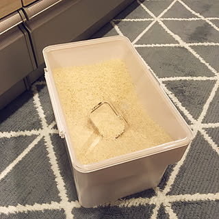 【RoomClipショッピングで買える！】スタイリッシュでコンパクト！山崎実業「tower密閉シンク下米びつ」の活用実例5選