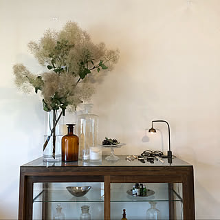 優しい色合いにキュン♡ふわふわシルエットが魅力のスモークツリーの飾り方