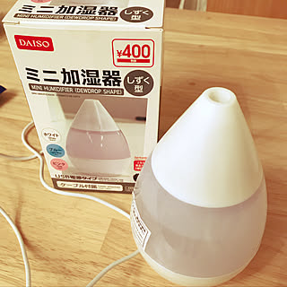 乾燥対策に取り入れて!ダイソーの加湿器がプチプラで優秀