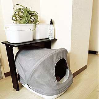 ペットとの暮らしを楽しむために☆抜け毛やニオイの対策と工夫