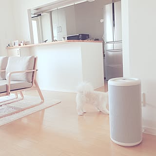 シンプルでスタイリッシュ☆インテリアに合わせやすい無印良品の空気清浄機