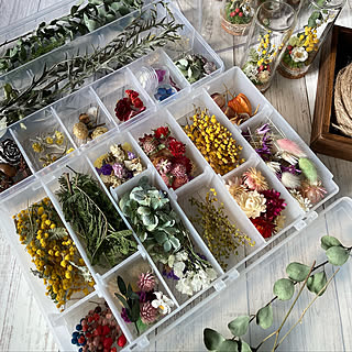 どんなものでもスッキリ整う！100均のアイテムを活用した仕切り収納