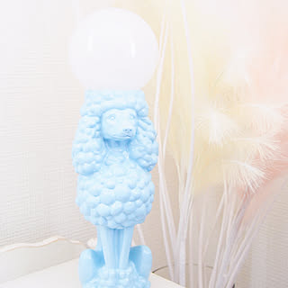ひとつ取り入れるとお部屋が華やかに♡Francfrancのおすすめアイテム
