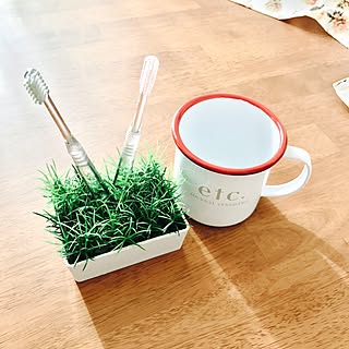 立てる派?吊るす派?こだわりの歯ブラシホルダー10選