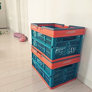 毎日をもっと楽しく♪暮らしに寄り添うカインズのおすすめアイテム