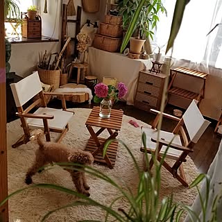 スツールからパーソナルチェアまで♪ニトリのチェアがある暮らし