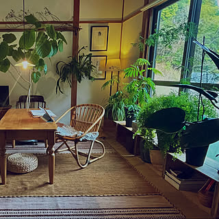 【RoomClipが選んだ厳選3選】「窓辺のインテリア」がテーマの素敵な投稿実例