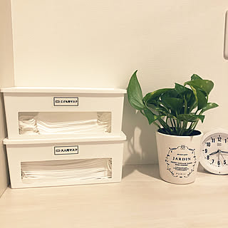 タイプや置き場所に合わせて選ぶ！セリアの「マスク収納」6選