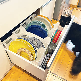 新たな使い道が見つかる！書類整理だけじゃないファイルボックスの活用術