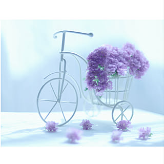 インテリアにプラスしたい☆魅力的なダイソーのアイアン雑貨