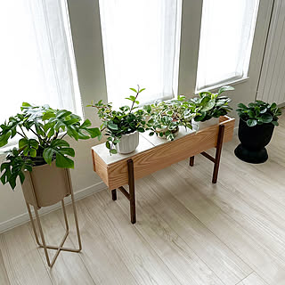 お部屋すっきり&植物も元気に♪観葉植物の配置やレイアウトの工夫