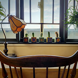 育てやすくて飾りやすい♡小さな観葉植物の種類＆飾り方アイデア10選