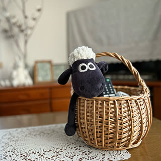 テーブルやテレビまわりを使いやすく整える☆お部屋に馴染むリモコン収納のヒント