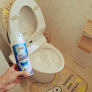 気になる場所もまるごとすっきり♪トイレ掃除のコツとアイデア