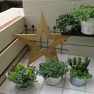 多肉植物を上手に取り入れたお部屋を紹介