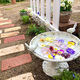 水に浮かべて涼やかに♪フローティングフラワーの実例9選