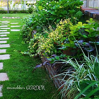 ミックスレンガでガーデンCafeのようなお庭に♪emimekkoさんの花壇