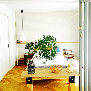 枝物を取り入れたい方におすすめ！ドウダンツツジのあるお部屋