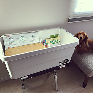 どう使う？無印良品ポリプロピレン頑丈収納ボックスの活用方法