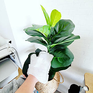 もうホコリを溜めない！真似したくなる掃除アイテム＆ホコリ対策