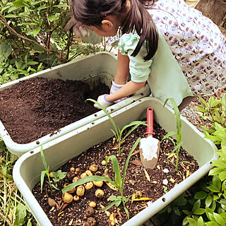 子ども達に伝えたい大切なこと☆おうちでできる食育のアイデア