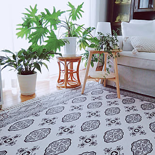 【みんなが選んだ！】お手入れ簡単なのがうれしい♪「洗えるラグ」3選