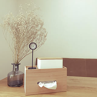 【RoomClipショッピングで買える！】スタイルを選ばない！山崎実業「RIN ウェットシートケース」の活用実例3選