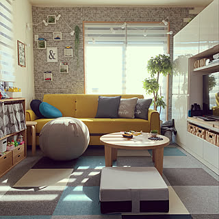 インテリアとしても楽しめるバランスボール♪Vivora「ルーノ」のシェニール