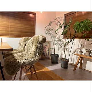 RoomClipショッピングで買える！寒さ対策にぴったりなアイテム