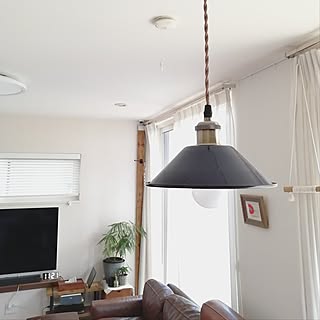 家具や雑貨だけじゃない！実は優秀なアイテムがそろってるニトリの家電