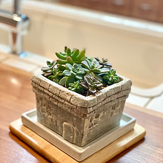 お気に入りの植物を飾りたい☆DIYで作る植木鉢やプランター