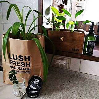 もう溜め込まない！捨てられない「紙袋」の活用アイデア