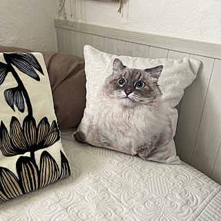 お部屋や用途に合わせて選ぶ♪ニトリのクッションカバーがある暮らし