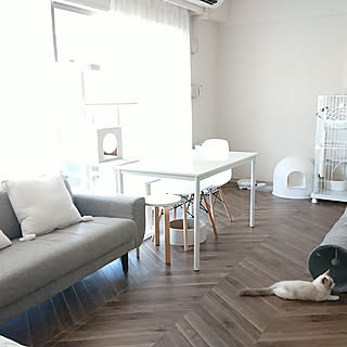 「37.5m2。人も猫も落ち着く、ホワイト×グレーインテリア」 by sumishouseさん