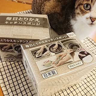 一度使ったらもう虜♡リピ買いしたくなるニトリの使い心地抜群な消耗品