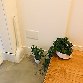 RoomClipショッピングで買える！場所別で選ぶおすすめ掃除グッズ