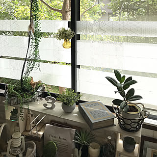 強い日差しをコントロールして快適なお部屋に☆紫外線対策アイデア集