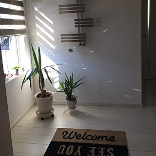 日常にくつろぎの時間を☆うっとりする時間の実例10選