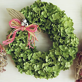 生花のあとはドライでもっと楽しめる♡アナベルの魅力とアイデア実例