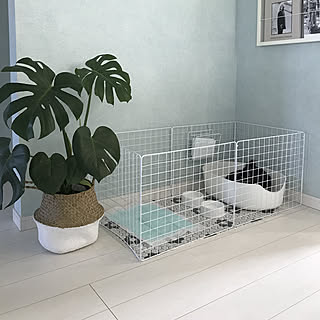 100均活用でここまで作れる！ペットも飼い主も快適に暮らせるアイテム作り