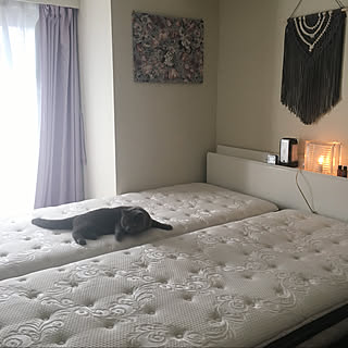 ぐっすり眠って元気に暮らす。快眠のために取り入れているアイデア10選