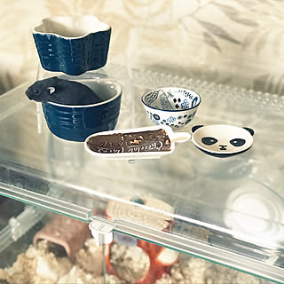 100均でGETする！ペットライフで活躍するアイテム&かんたんDIY