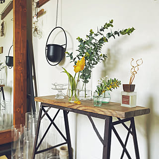 美しさと実用性が両立！豊かなおうち時間が叶うニトリの香りアイテム