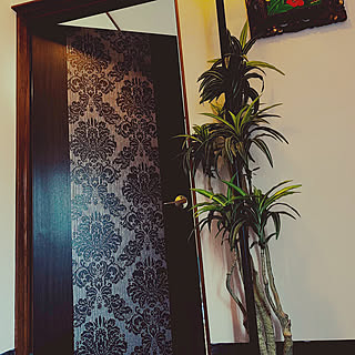 リメイクシートやペイントでイメチェン！ドアのリメイク実例集