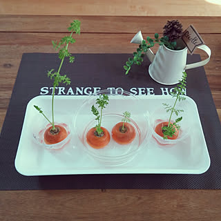 親子で一緒に楽しみながら取り組みたい♪夏休みの自由研究実例集