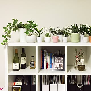 IKEAのKALLAXシェルフにオシャレな小物を飾ろう
