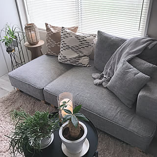 コンパクトでものんびりと♪限られたスペースでも快適なソファカタログ