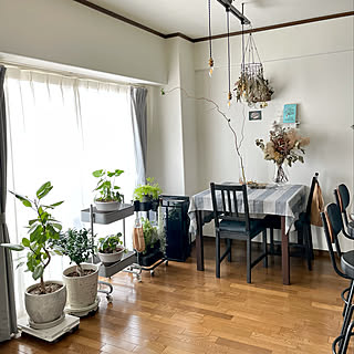 掃除しやすい家づくりが叶う☆移動が楽なキャスター付きアイテムをご紹介